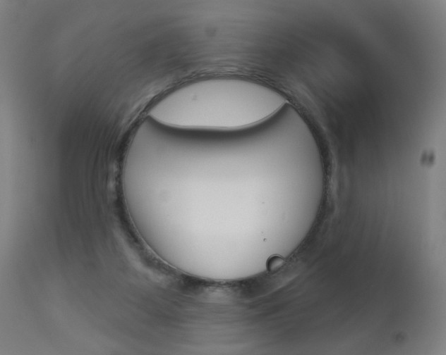 X0000112960115200908270928