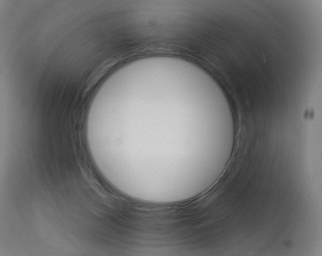 X0000112960116200908270928