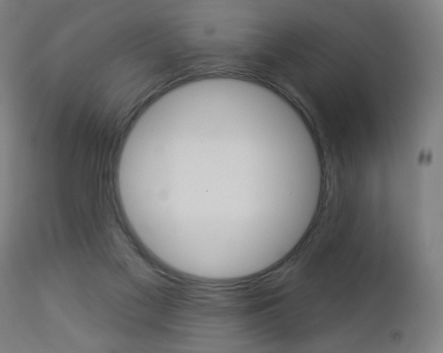 X0000112960117200908270928