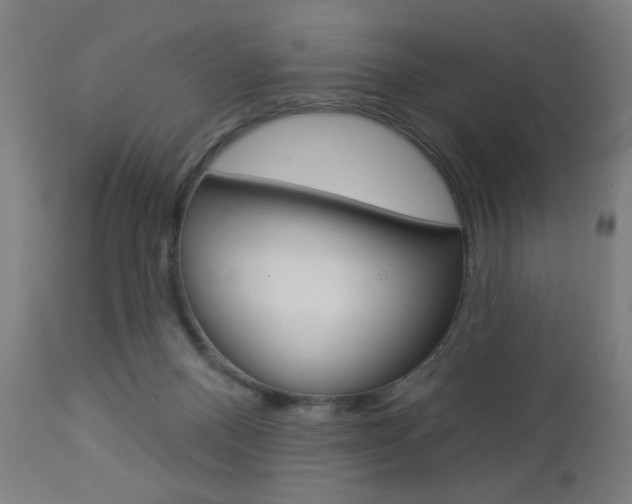 X0000112960120200908270928