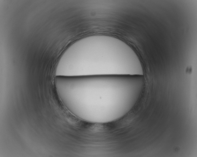 X0000112960123200908270928