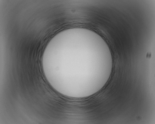 X0000112960125200908270928