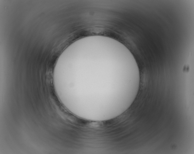 X0000112960126200908270928