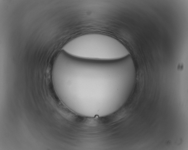 X0000112960127200908270928