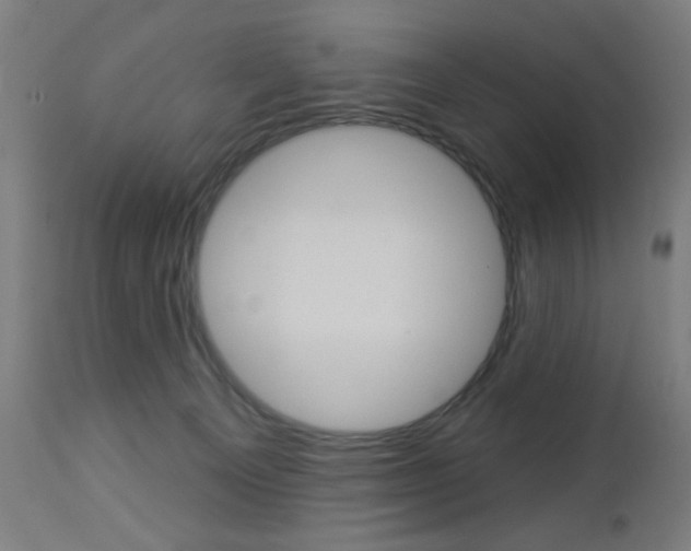 X0000112960129200908270928