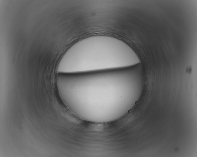X0000112960131200908270928