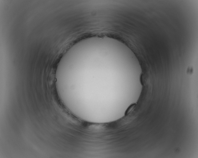 X0000112960133200908270928