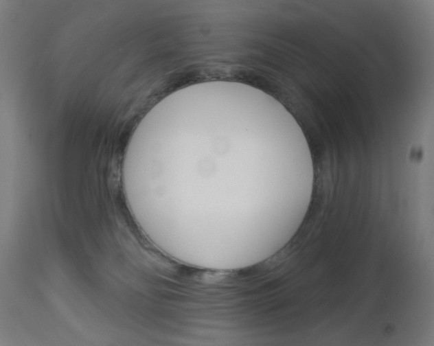 X0000112960134200908270928
