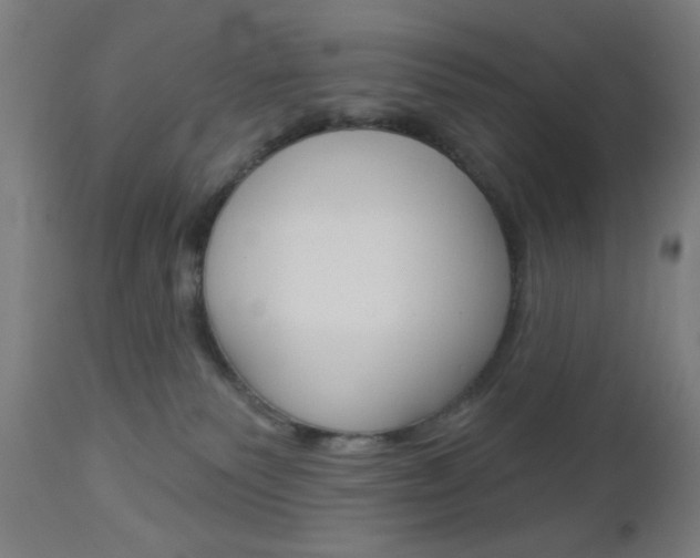X0000112960135200908270928