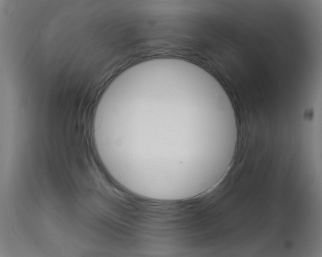 X0000112960136200908270928
