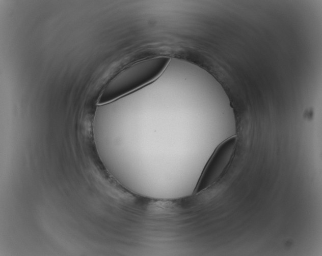 X0000112960137200908270928