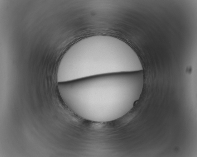 X0000112960139200908270928