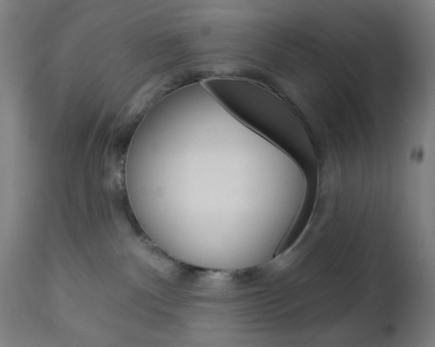 X0000112960140200908270928