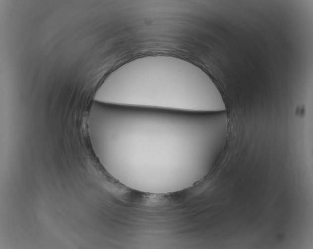 X0000112960141200908270928