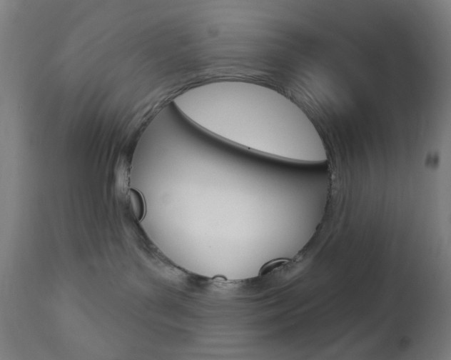 X0000112960143200908270928