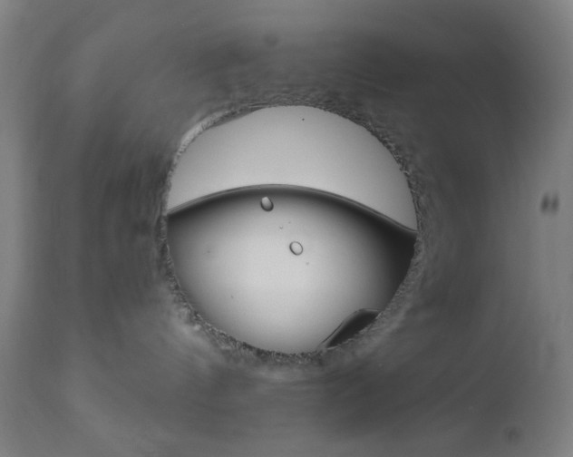 X0000112960144200908270928