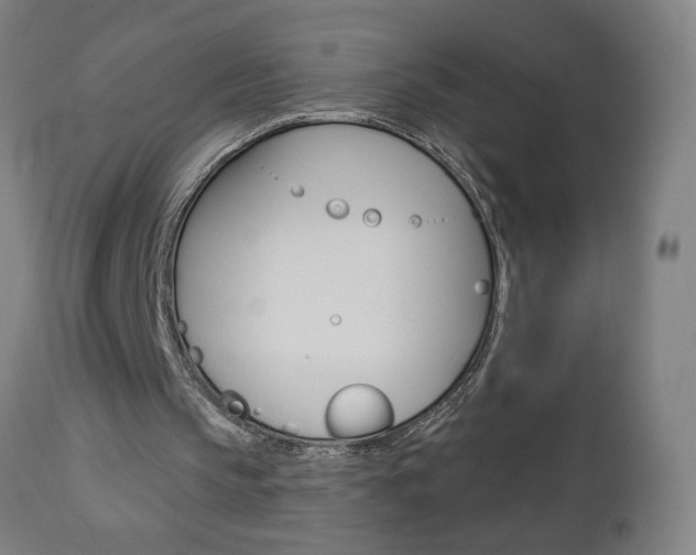 X0000112960145200908270927