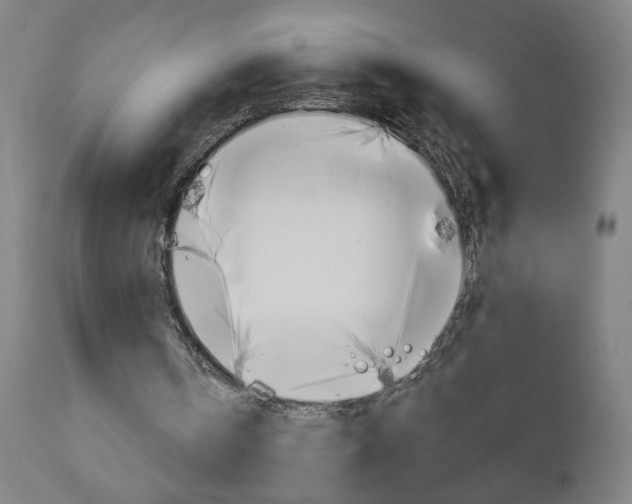 X0000112960146200908270927