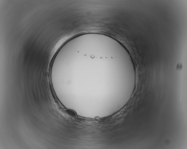 X0000112960147200908270927