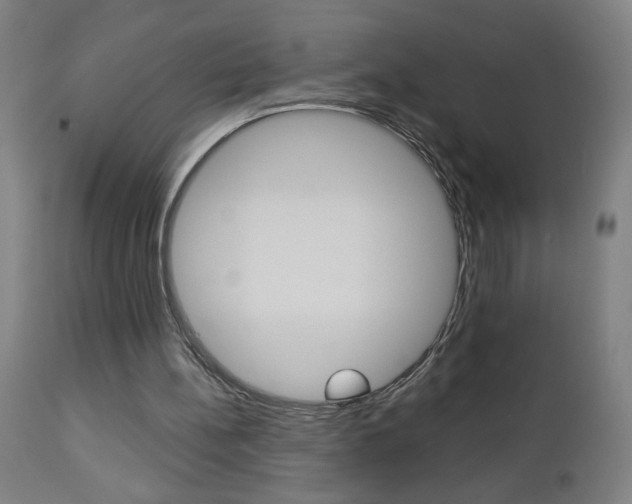 X0000112960148200908270927