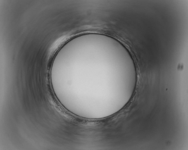 X0000112960149200908270927