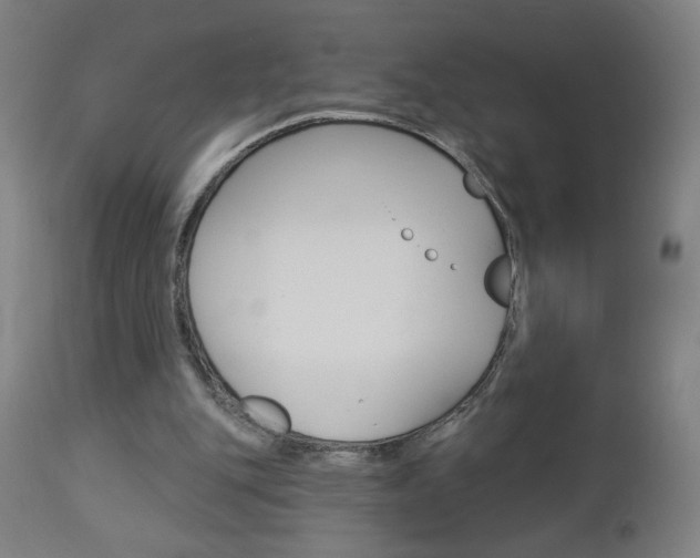 X0000112960151200908270927