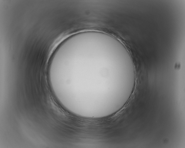 X0000112960152200908270927