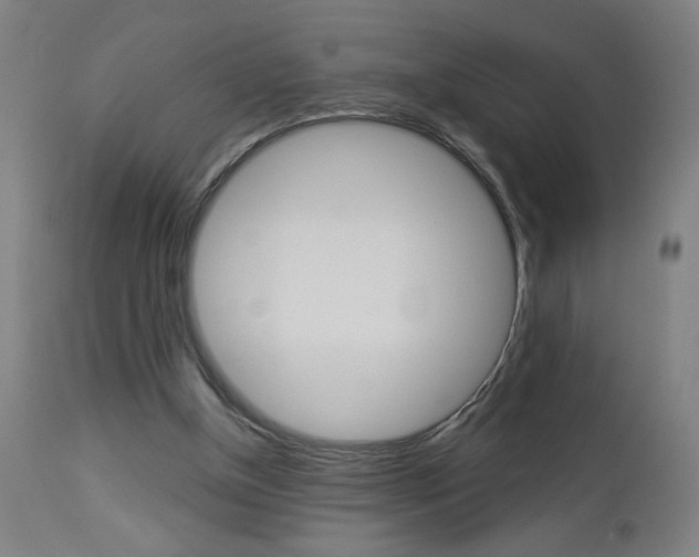 X0000112960154200908270927