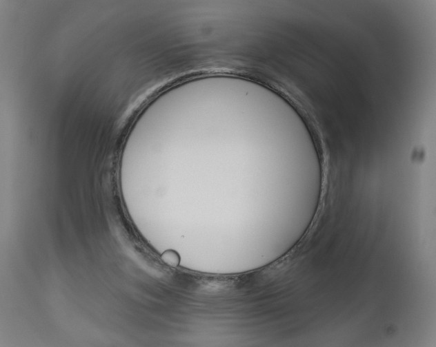 X0000112960155200908270927