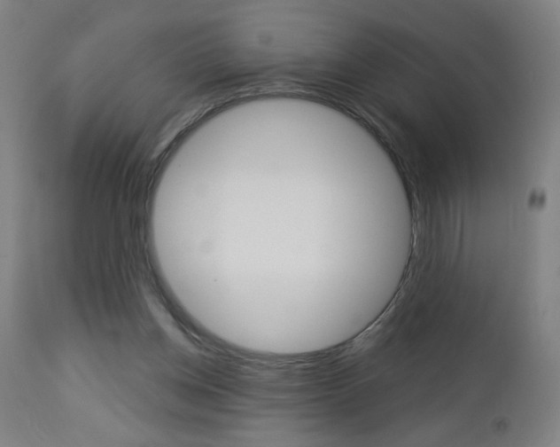 X0000112960158200908270927