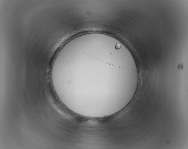 X0000112960159200908270927