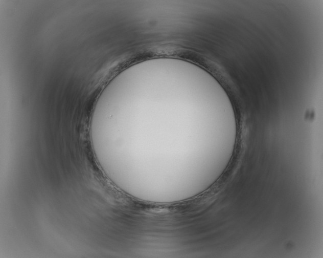 X0000112960161200908270927