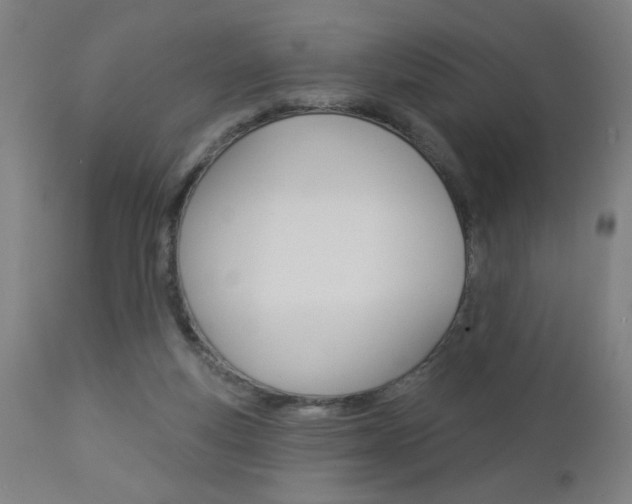 X0000112960163200908270927