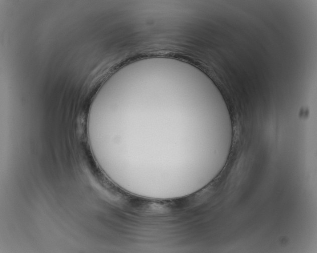 X0000112960166200908270927