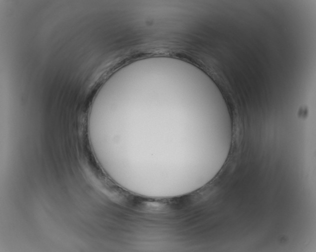 X0000112960167200908270927