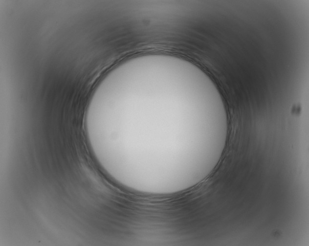 X0000112960168200908270927