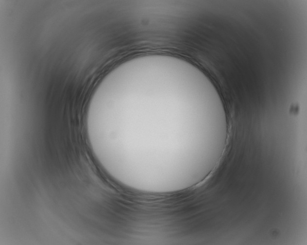 X0000112960170200908270927