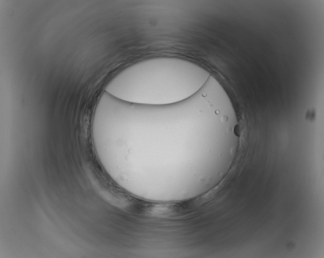 X0000112960171200908270927