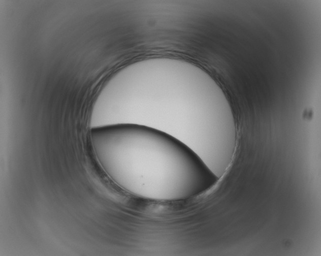 X0000112960174200908270927