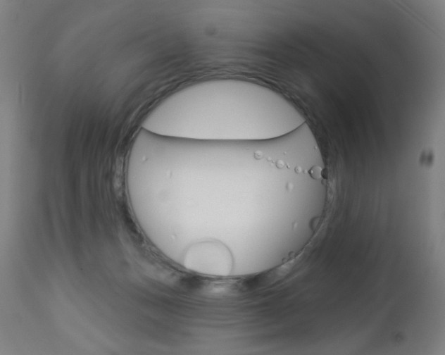 X0000112960175200908270927