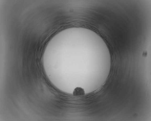 X0000112960176200908270927