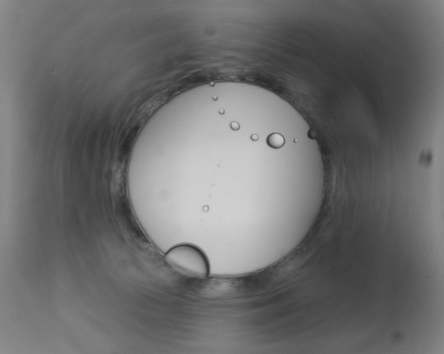 X0000112960177200908270927