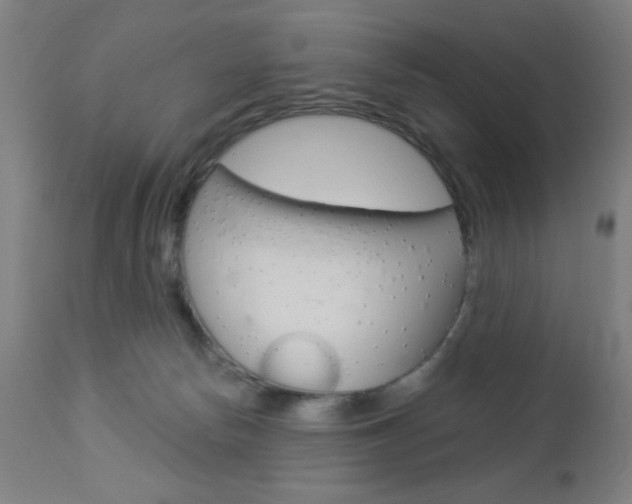 X0000112960178200908270927
