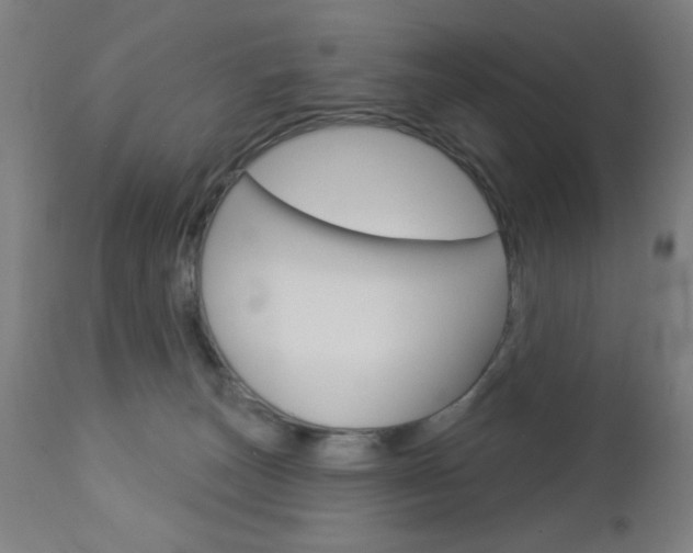 X0000112960179200908270927