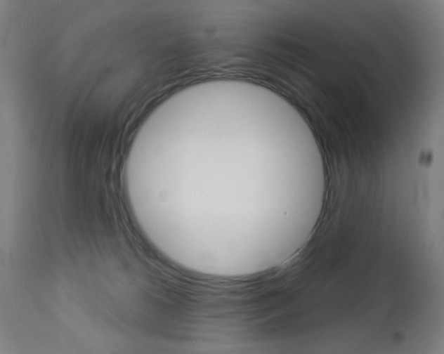 X0000112960180200908270927