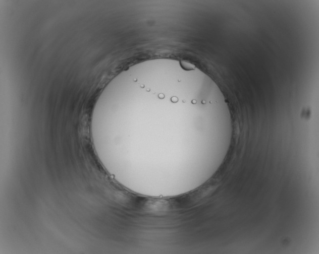 X0000112960181200908270927