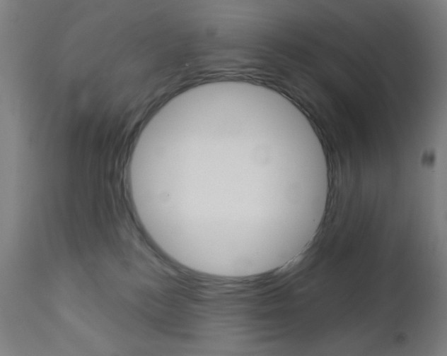 X0000112960184200908270927