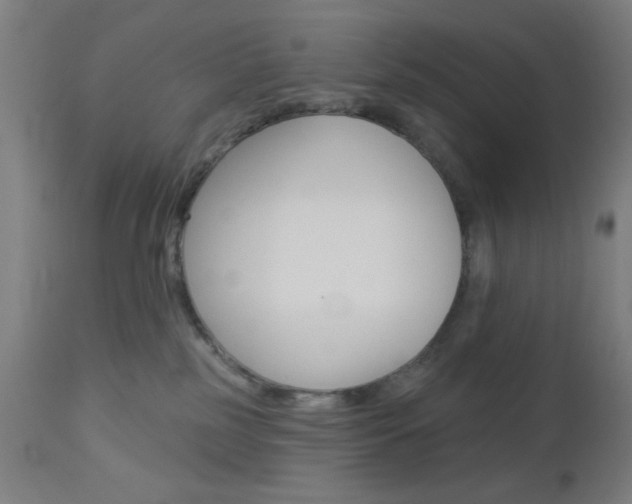 X0000112960185200908270927