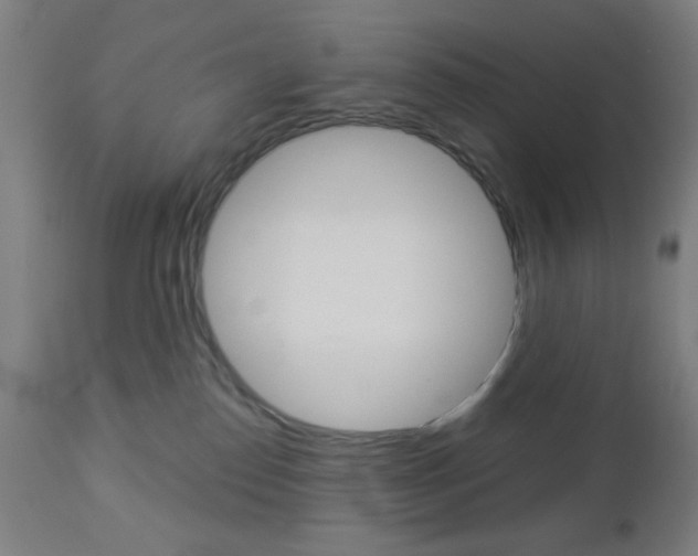 X0000112960186200908270927