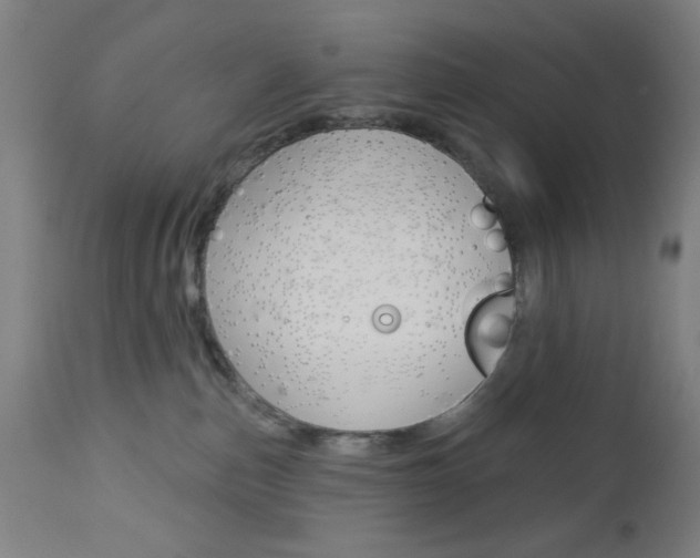 X0000112960187200908270927
